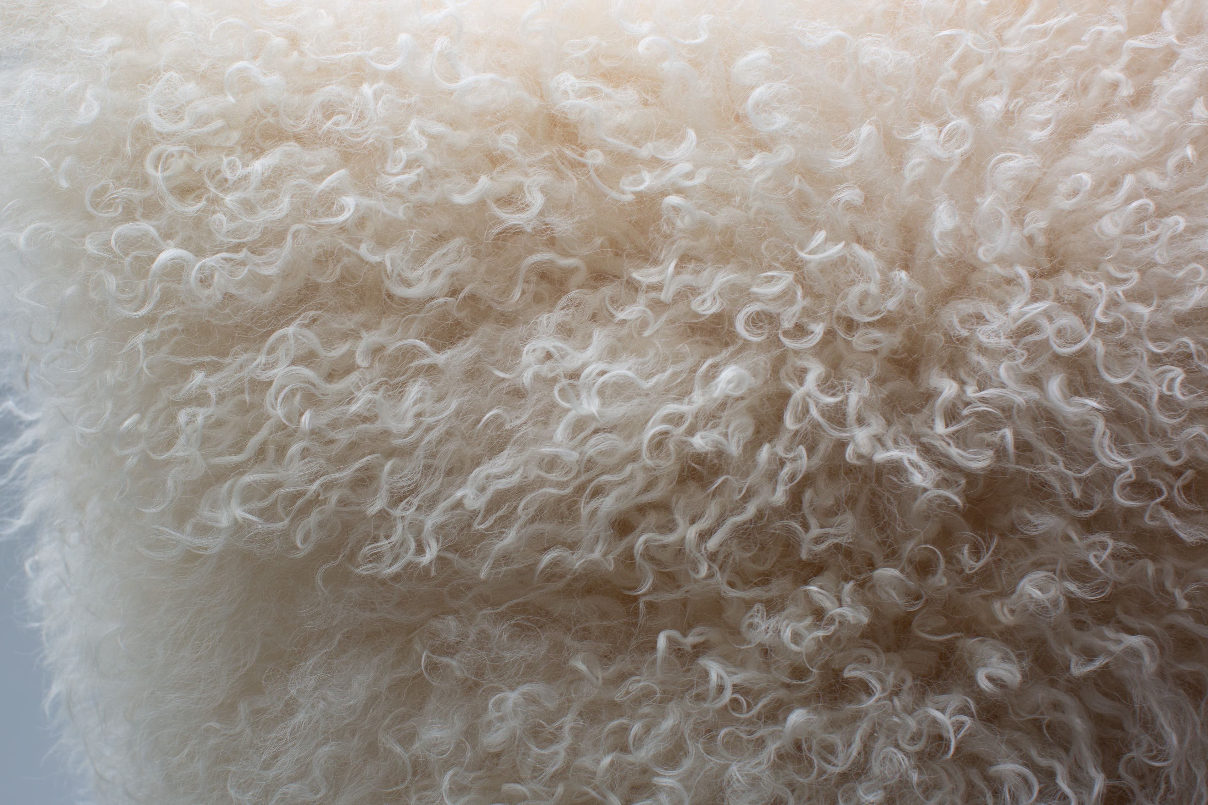 White Mongolia Fur Cushion